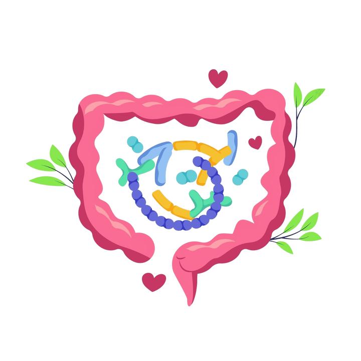 Gezonde spijsvertering en geen parasieten